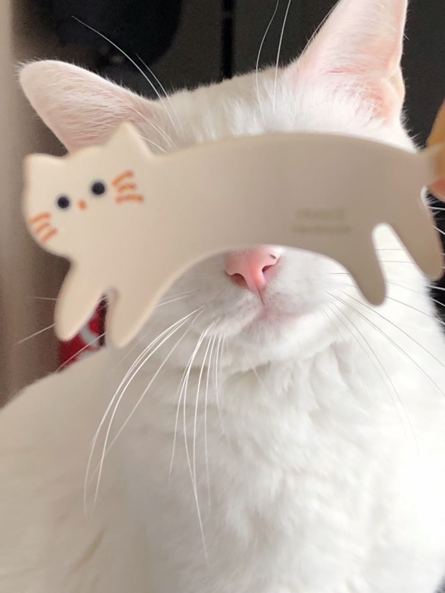 meow hair clip (4 colors)